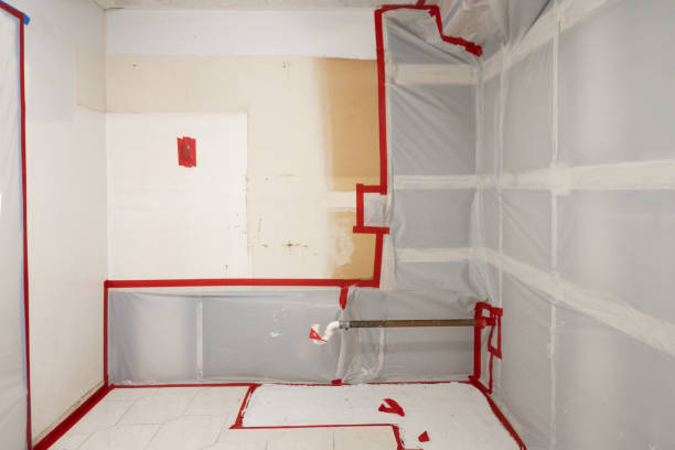 Best Mold Removal for HVAC Installations  in Eastport, NY