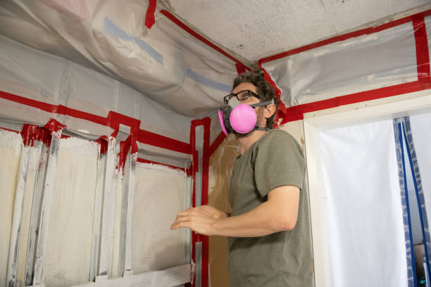  Eastport, NY Mold Removal Pros
