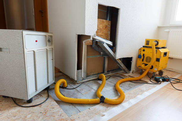 Professional Mold Removal in Eastport, NY