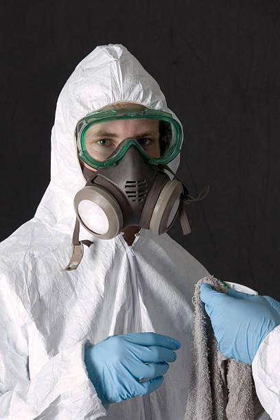 Best Asbestos and Lead Testing During Mold Inspection  in Eastport, NY